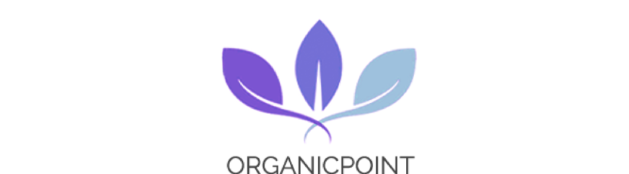 Organic Turmeric  Ginger Blend